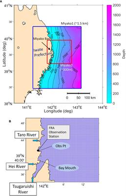 Development of a high-resolution marine ecosystem model for predicting the combined impacts of ocean acidification and deoxygenation